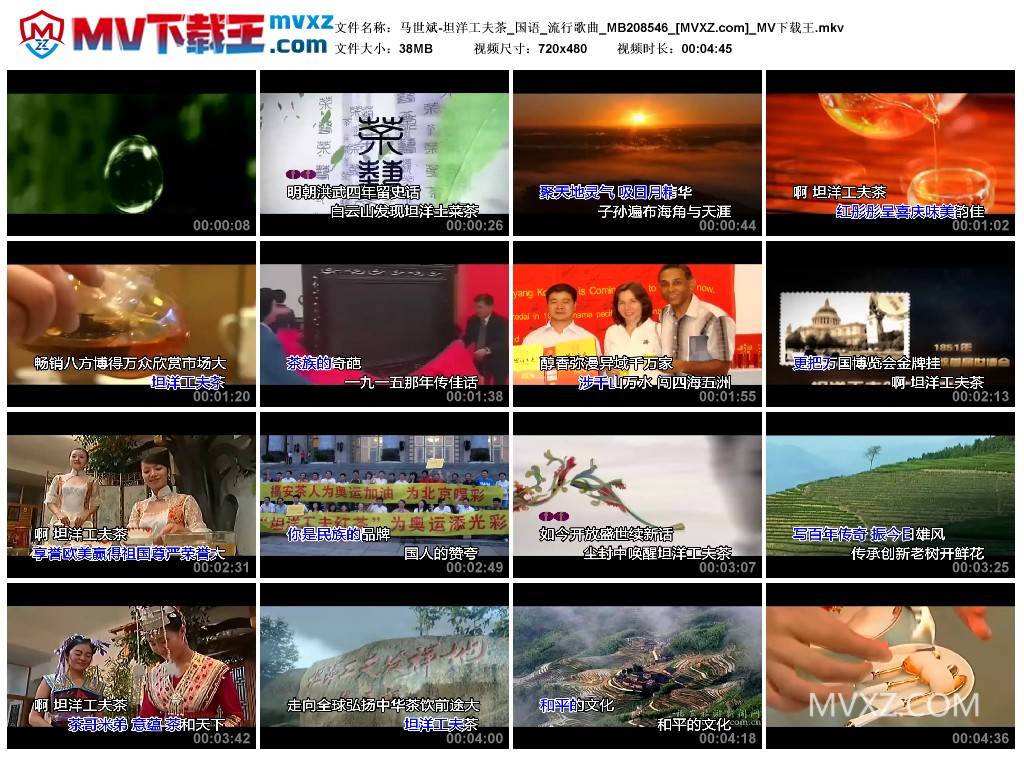 马世斌-坦洋工夫茶_国语_流行歌曲_MB208546